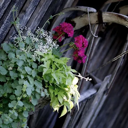 アパートホテル イーデルフェルト 4*