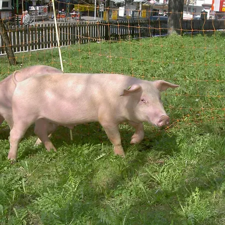 アパートホテル イーデルフェルト