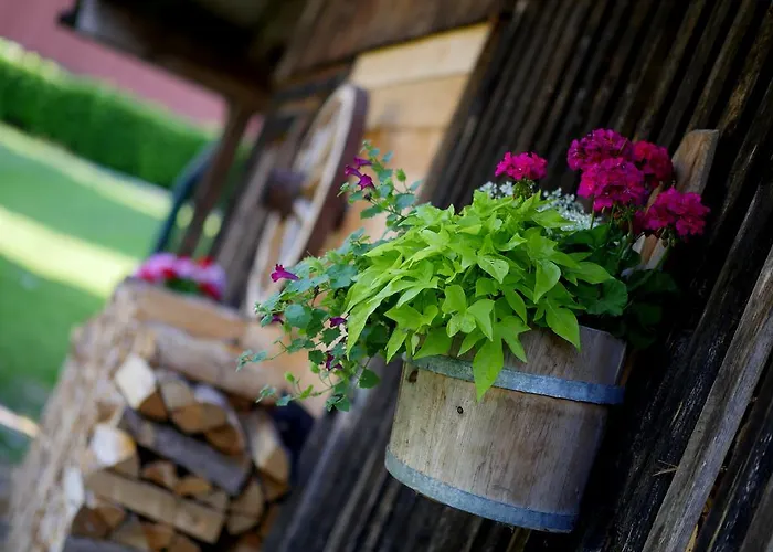 Ederfeld Apartahotel Mayrhofen