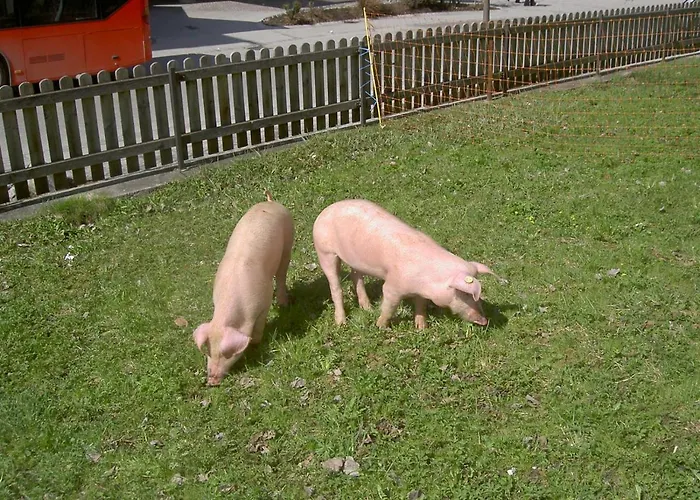 Apartahotel Ederfeld Mayrhofen