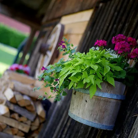 أبارتهوتل اديرفيلد شقة فندقية مايرهوفن